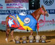 Mario Sánchez Pinto: De manga en manga