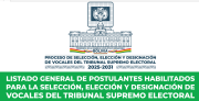 De los postulantes al TSE, dos tienen los 100 puntos máximos y 20 logran 95 o más