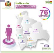 En Bolivia baja el número de feminicidios, pero sube en el departamento de La Paz