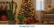 Esta planta tenés que dejar al lado del árbol de Navidad para atraer prosperidad