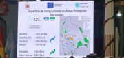 BOLIVIA SUPERA AMPLIAMENTE LOS LÍMITES LEGALES DE CULTIVO DE COCA EN 2024
