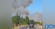 Alerta Roja para Litueche por incendio forestal con cercanía a zonas pobladas: viento complica combate