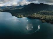 Felipe Briones cierra la venta de su salmonera Yadrán a gigante japonesa Nissui