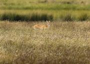 De Castelli al mar: un viaje de cinco días por pueblos, termas y paisajes bonaerense
