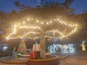 Ascensión de Guarayos prende las luces navideñas