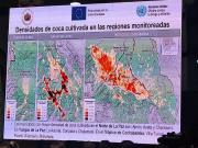 Según la Unodc el 91,5% de coca cultivada en el Chapare va a dar al mercado ilegal