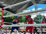 Tejerieños alcanzaron la victoria durante Gala de Boxeo Verde