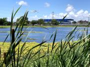 Contaminación farmacéutica en el Río de la Plata: la amenaza silenciosa del viagra en el agua