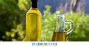El aceite de oliva sanjuanino es el mejor de la Argentina, según un ranking mundial