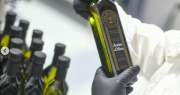 San Juan se consolida como líder del aceite de oliva argentino en un ranking internacional