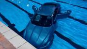 El insólito caso que se viralizó en Francia: Carro de lujo cayó en una piscina luego que la conductora habría confundido los pedales