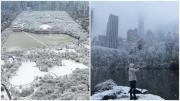 Central Park se cubre de blanco: Las espectaculares imágenes que dejó la gran nevada en Nueva York