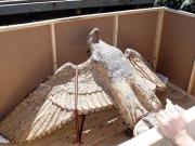 Buscan exponer águila del Graf Spee en isla Gorriti: “Una fuente de atracción turística”