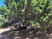 “Duermen de día y actúan en la noche”: la queja de vecinos de Parque Rodó por indigentes