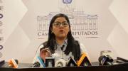 Bancada de Libre presenta denuncia contra exviceministra Alcón por tres presuntos delitos