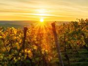 Solsticio de verano este 21 de diciembre: qué significa y por qué es el día más largo del año