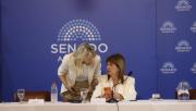 Patricia Bullrich consiguió las firmas para el dictamen en el Senado de la reforma laboral de Javier Milei