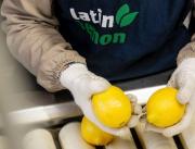 Megaoperación de cierre de año: el Grupo Ruiz adquiere Latin Lemon