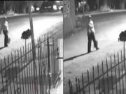 Tiraron a un bebé recién nacido en un pastizal de Quilmes y una vecina lo rescató: No podía creer que la criatura fuera abandonada