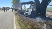 Fatal accidente en la ruta 8: un camionero murió tras perder el control e impactar contra un árbol