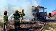 Se perdieron 16 animales: así quedó el camión con ganado que se incendió en Ruta 9