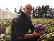 Falla multiorgánica: qué significa y por qué es grave el cuadro que padece Christian Petersen