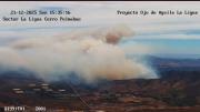 Alerta roja para Zapallar y La Ligua por incendio forestal: solicitaron evacuar sector La Foresta