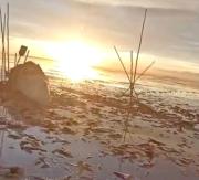 Alertan por el deterioro del lago Poopó en Oruro