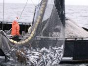 La actividad económica se contrajo 0,4% en octubre, aunque creció del 5% en el año