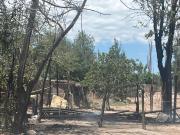 Fotos y videos: un incendio en una vivienda dejó un muerto en Las Heras