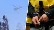 No habían antecedentes suficientes: Detenido por incendio forestal en el Maule queda en libertad