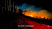 Incendio en cerro La Coronilla, sobre el nuevo cartel de Minas, afectó “varias hectáreas” y ahora sigue hacia el Verdún