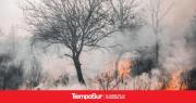 Riesgo extremo por incendios forestales en varias provincias