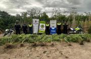Descubren cultivo clandestino y secuestran plantas de cannabis en el sur tucumano