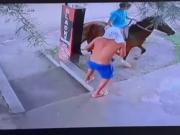 Córdoba: querían robar un maxikiosco, la vendedora los sacó corriendo y terminaron escapando a caballo
