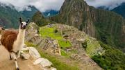 Dos trenes de turistas chocaron rumbo a Machu Picchu: al menos 15 heridos y uno de gravedad