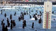 BRASIL SACÁ DEL MEDIO: MAR DEL PLATA supera el récord histórico de la temperatura del mar y celebran turistas