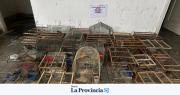 Operativo policial dejó tres detenidos y 110 aves secuestradas