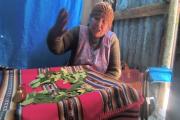 La hoja de coca no depara un buen año –