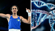 ¿Nuevo requisito para 'World Boxing'?: esto dicen estudios hormonales a Imane Khelif, campeona olímpica París 2024