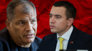Noboa y Correa se dan con todo por Venezuela: Vas a terminar como Maduro