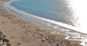 ¿Panoramas gratis este verano?: La Serena lanza potente agenda de verano para enero y febrero