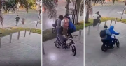 Video: dos chicos salieron a hacer mandados en La Plata y los asaltaron cuatro motochorros