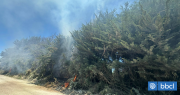 Cancelan Alerta Roja en sector Panitao Bajo de Puerto Montt por incendio forestal