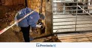 Mató a un jubilado de 100 puñaladas en Capital y quedó libre: a 2 años del crimen de Búbica