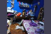 Salvajes: Robaron dinero y bienes de una casa y golpearon a una caniche