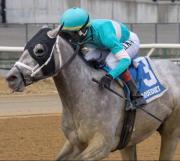 Kentucky Derby: My World ganó el duelo en el Jerome Stakes y suma puntos rumbo al Derby de Las Rosas