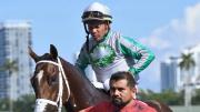 Imparable en enero: Samy Camacho visita el círculo de ganadores por tercer día en Tampa Bay Downs