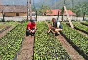 El café de especialidad abre oportunidades para productores de Loja
