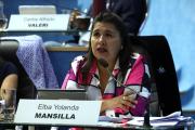 En Río Negro Yolanda Mansilla cuestionó la habilitación de nuevos bloques legislativos